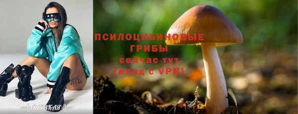 дурь Алексеевка