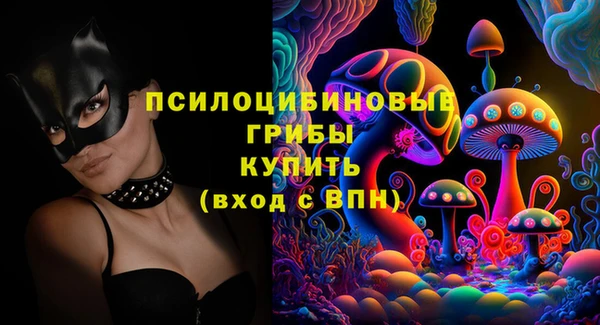 твердый Алзамай
